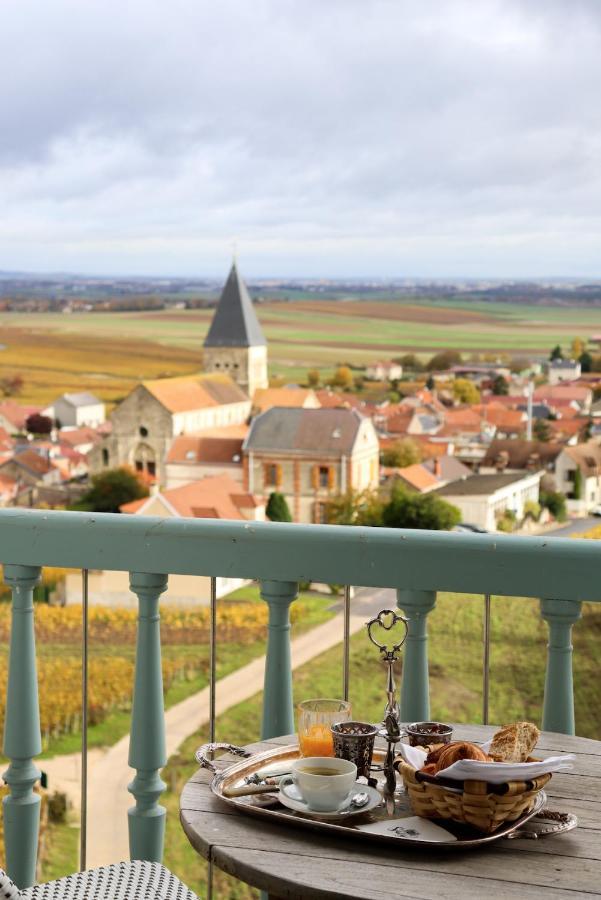 Chateau De Sacy Exterior foto